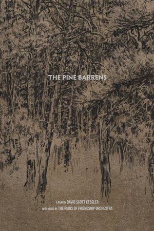 The Pine Barrens watch The Pine Barrens