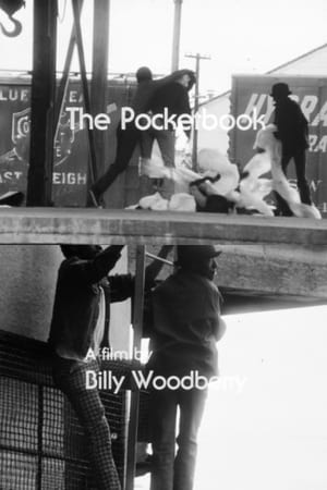 The Pocketbook watch The Pocketbook
