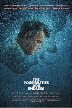 The Possibilities Are Endless watch The Possibilities Are Endless