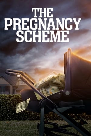 The Pregnancy Scheme watch The Pregnancy Scheme