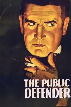 The Public Defender watch The Public Defender