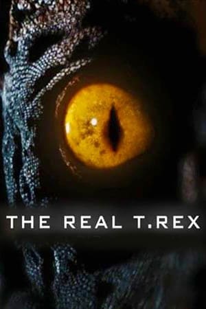 The Real T Rex with Chris Packham watch The Real T Rex with Chris Packham