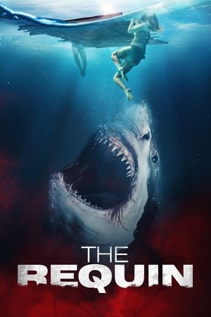 The Requin watch The Requin