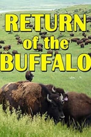 The Return of the Buffalo: Restoring the Great American Prairie watch The Return of the Buffalo: Restoring the Great American Prairie