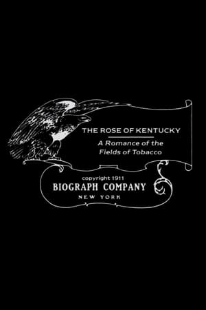 The Rose of Kentucky watch The Rose of Kentucky