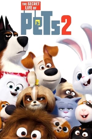 The Secret Life of Pets 2 watch The Secret Life of Pets 2