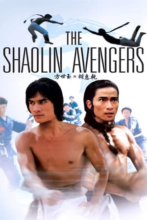 The Shaolin Avengers watch The Shaolin Avengers