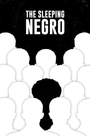 The Sleeping Negro watch The Sleeping Negro