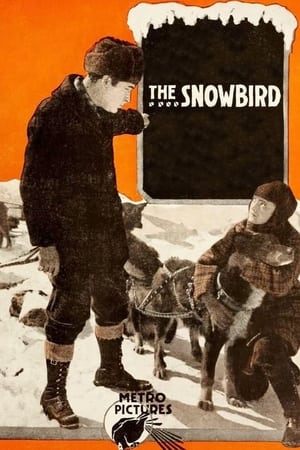 watch The Snowbird