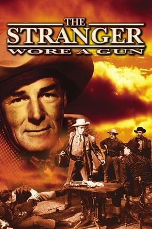 The Stranger Wore a Gun watch The Stranger Wore a Gun