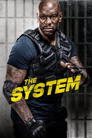 The System watch The System