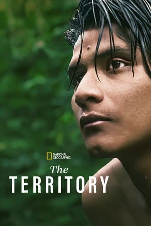 The Territory watch The Territory