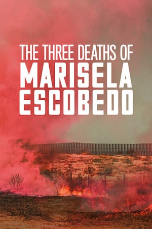 The Three Deaths of Marisela Escobedo watch The Three Deaths of Marisela Escobedo