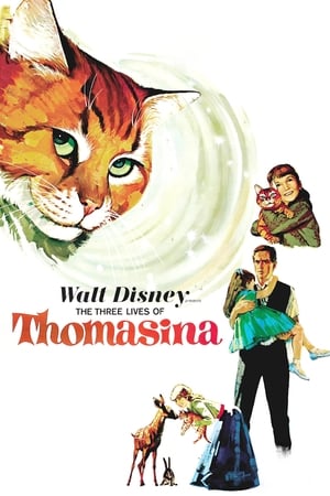 The Three Lives of Thomasina watch The Three Lives of Thomasina