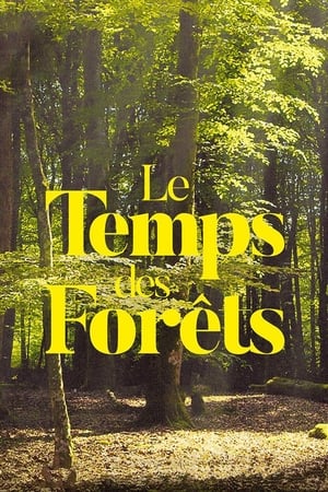 The Time of Forests watch The Time of Forests
