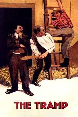 The Tramp watch The Tramp