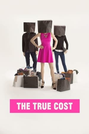 The True Cost watch The True Cost