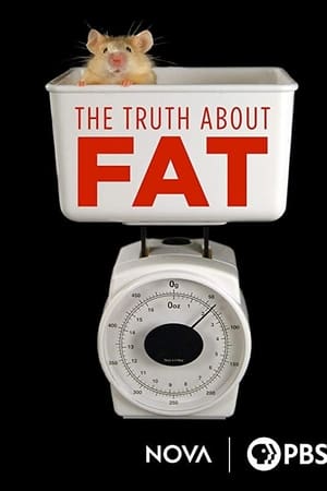 The Truth About Fat watch The Truth About Fat
