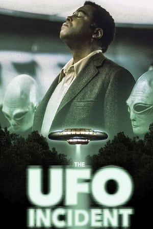 The UFO Incident watch The UFO Incident