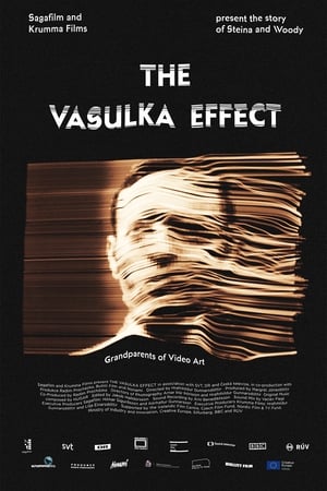 The Vasulka Effect watch The Vasulka Effect