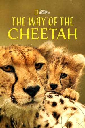 The Way of the Cheetah watch The Way of the Cheetah