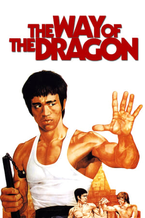 watch The Way of the Dragon