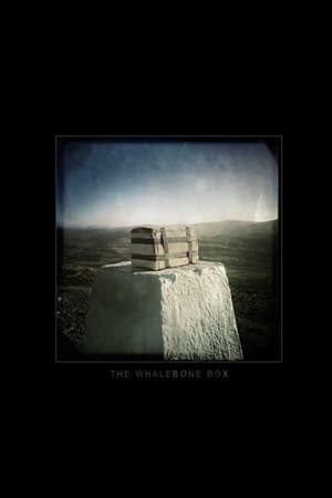 The Whalebone Box watch The Whalebone Box