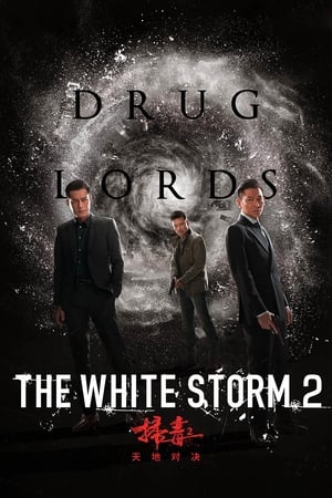 watch The White Storm 2: Drug Lords