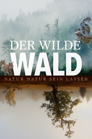 The Wild Forest watch The Wild Forest