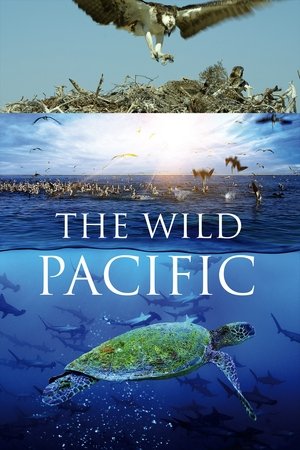 The Wild Pacific watch The Wild Pacific