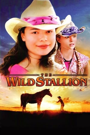 watch The Wild Stallion