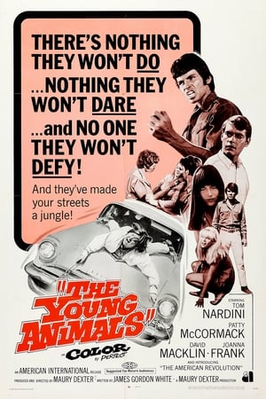 watch The Young Animals