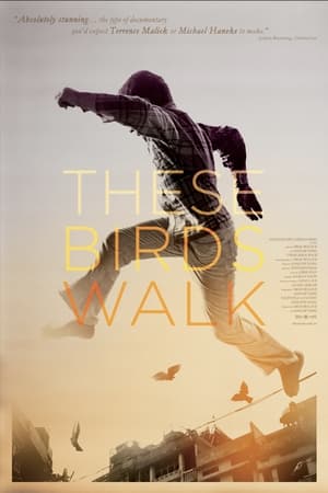 watch These Birds Walk