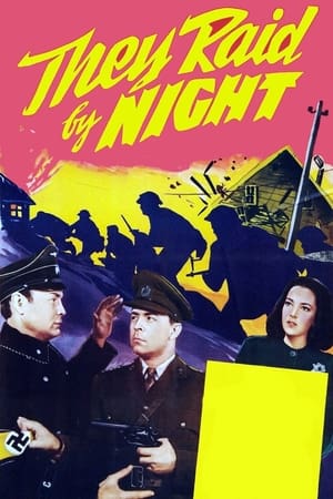 watch They Raid by Night