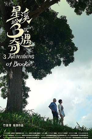Three Adventures of Brooke watch Three Adventures of Brooke