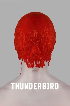 Thunderbird watch Thunderbird