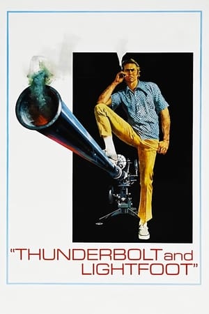 watch Thunderbolt and Lightfoot