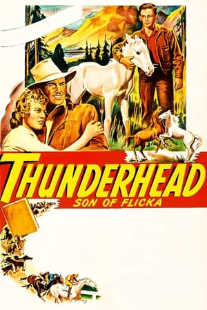 Thunderhead: Son of Flicka watch Thunderhead: Son of Flicka