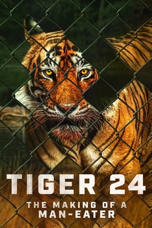 Tiger 24 watch Tiger 24