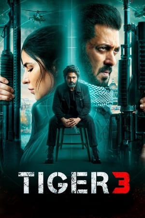 watch Tiger 3