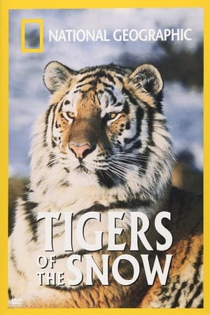 Tigers of the Snow watch Tigers of the Snow