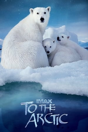 To the Arctic 3D watch To the Arctic 3D