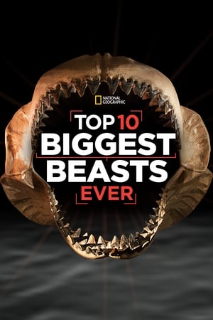 Top 10 Biggest Beasts Ever watch Top 10 Biggest Beasts Ever