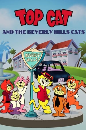 Top Cat and the Beverly Hills Cats watch Top Cat and the Beverly Hills Cats