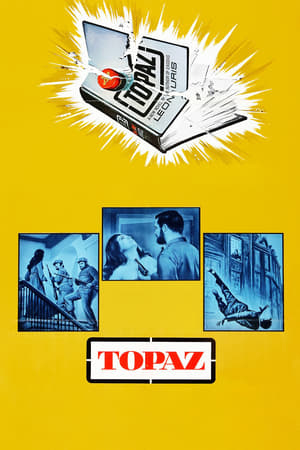 Topaz watch Topaz