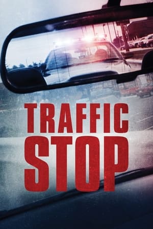 Traffic Stop watch Traffic Stop