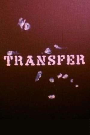 watch Transfer