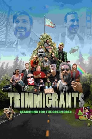 Trimmigrants watch Trimmigrants