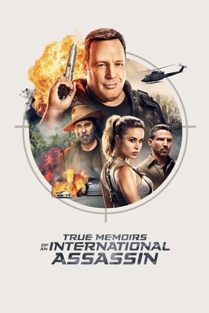 True Memoirs of an International Assassin watch True Memoirs of an International Assassin