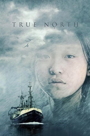 True North watch True North